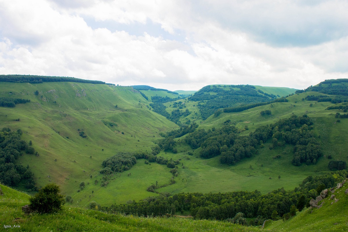 Элькуш.